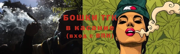 сатива Абинск