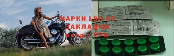 сатива Абинск