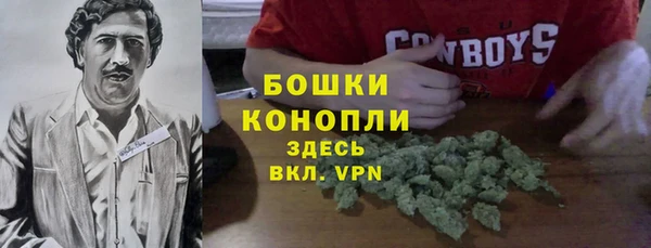 шишки Абдулино