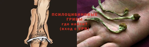 сатива Абинск