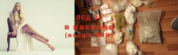 сатива Абинск