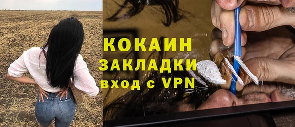 шишки Абдулино