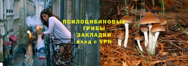 шишки Абдулино