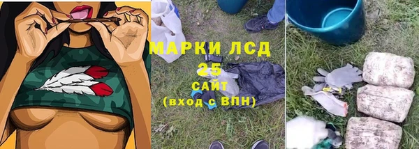 сатива Абинск
